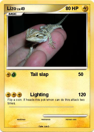 Pokemon Lizo
