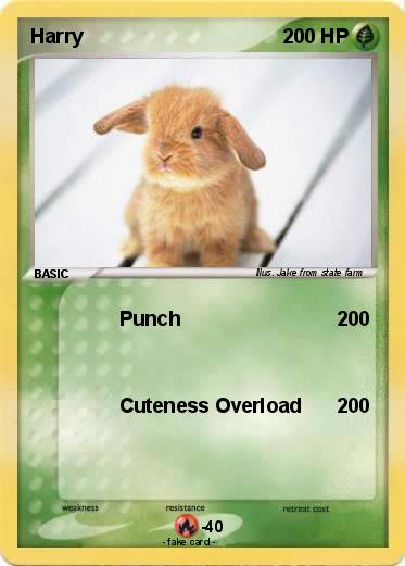 Pokemon Harry