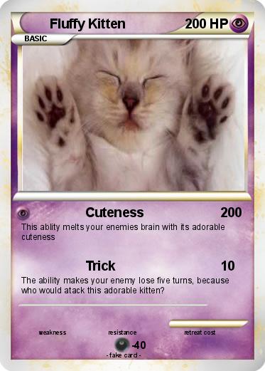 Pokemon Fluffy Kitten