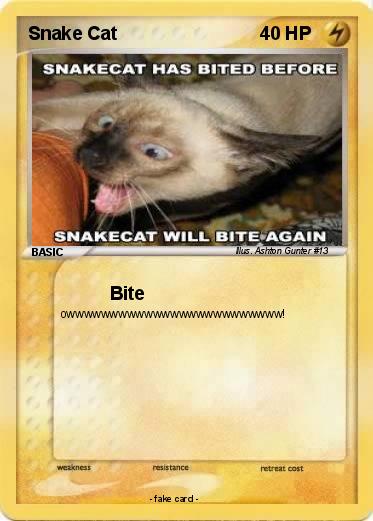 Pokemon Snake Cat