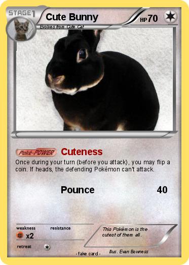 Pokemon Cute Bunny
