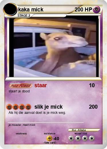 Pokemon kaka mick