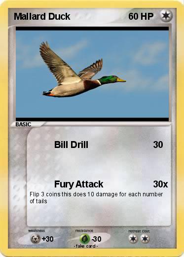 Pokemon Mallard Duck