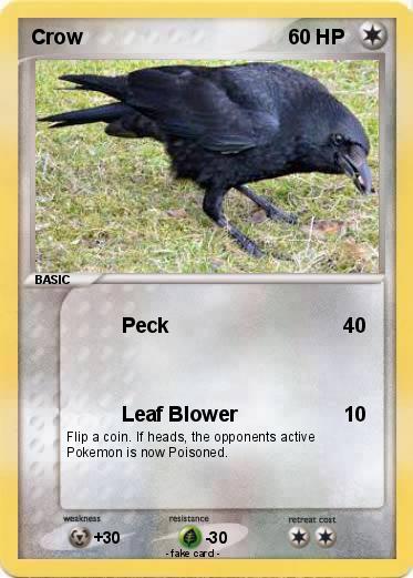 Pokemon Crow