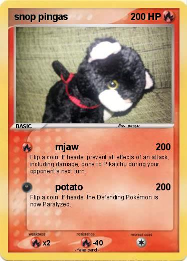 Pokemon snop pingas