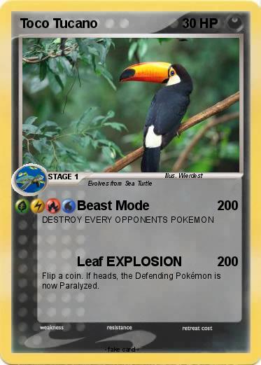 Pokemon Toco Tucano