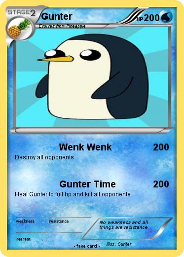 Pokemon Gunter