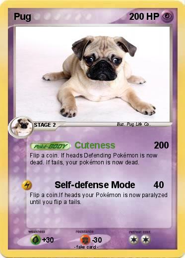 Pokemon Pug