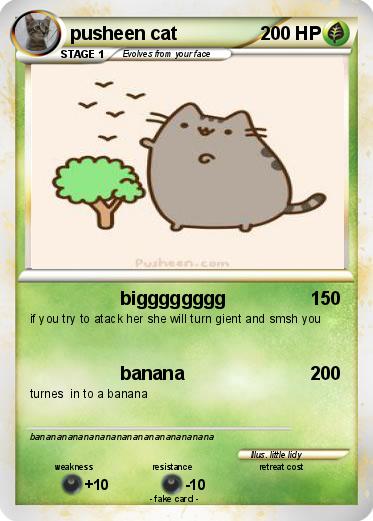 Pokemon pusheen cat