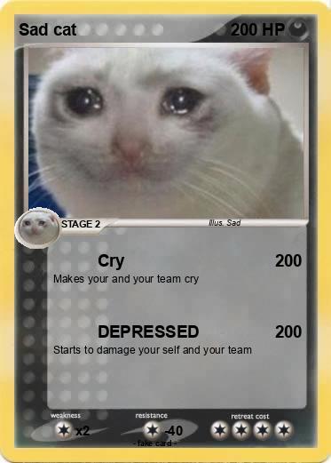 Pokemon Sad cat