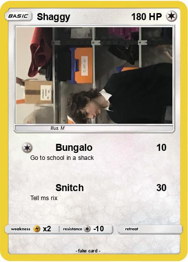 Pokemon Shaggy