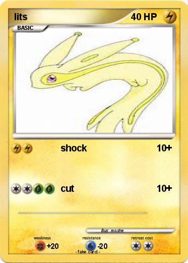 Pokemon lits