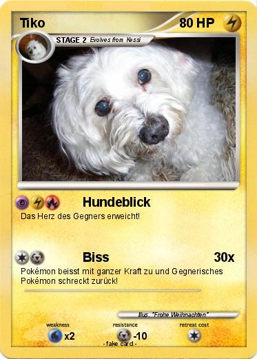 Pokemon Tiko