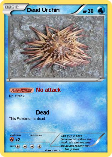 Pokemon Dead Urchin