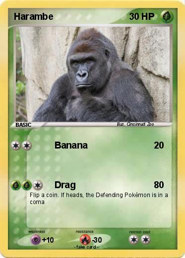 Pokemon Harambe