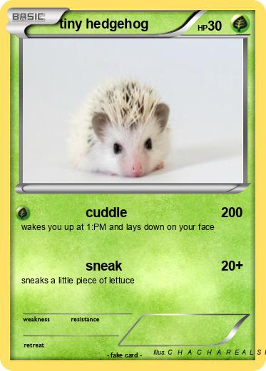 Pokemon tiny hedgehog