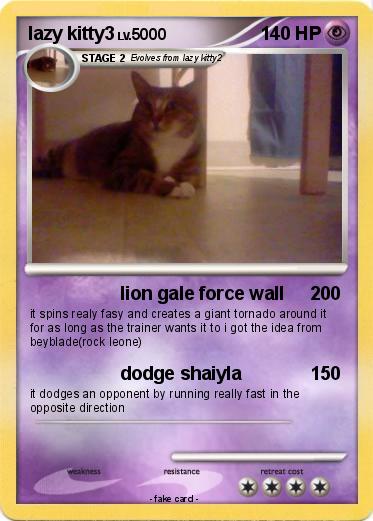 Pokemon lazy kitty3