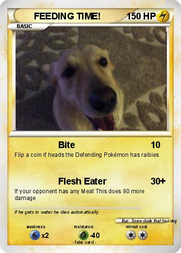 Pokemon FEEDING TIME!