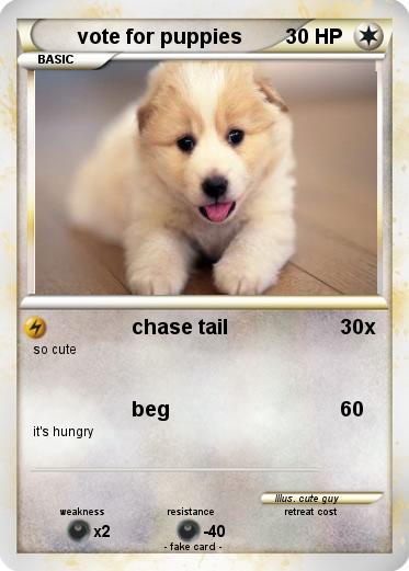 Pokemon vote for puppies