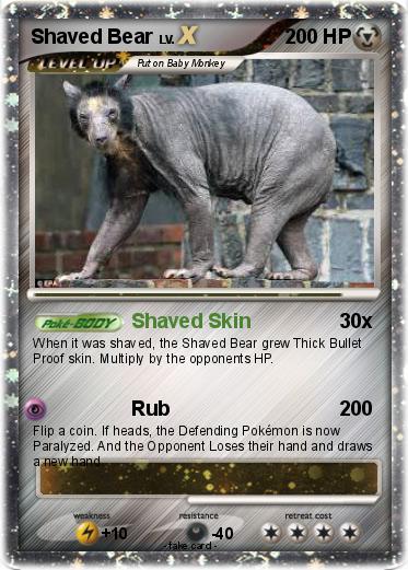 Pokemon Shaved Bear