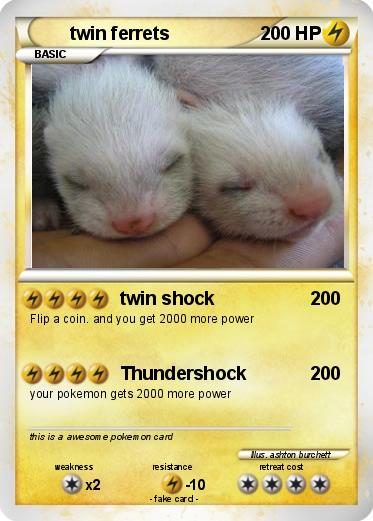 Pokemon twin ferrets
