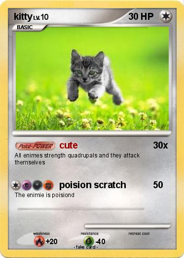 Pokemon kitty