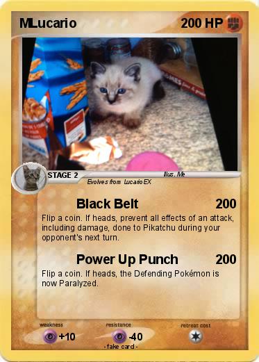 Pokemon MLucario
