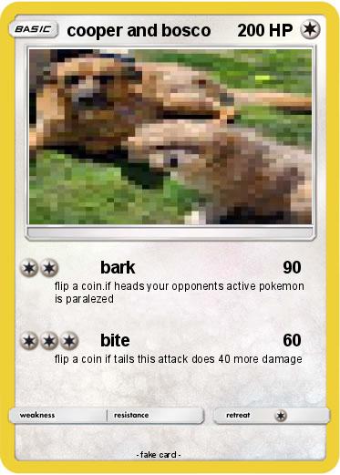 Pokemon cooper and bosco