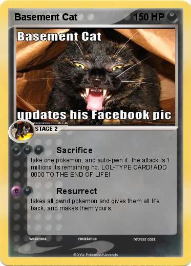 Pokemon Basement Cat