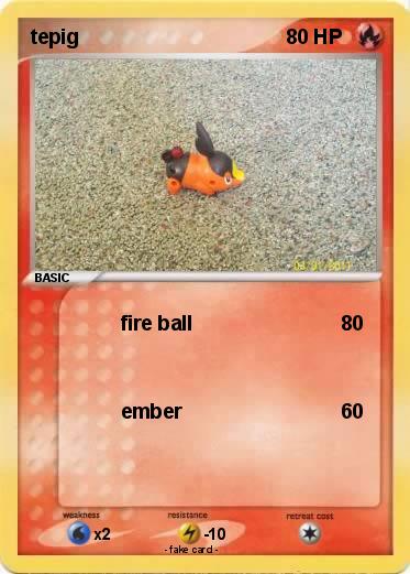 Pokemon tepig