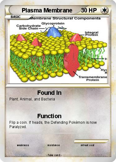 Pokemon Plasma Membrane