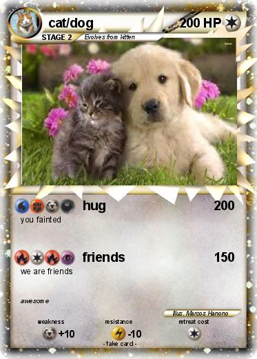 Pokemon cat/dog