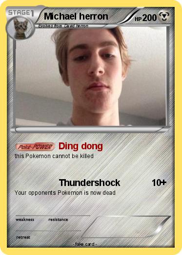 Pokemon Michael herron
