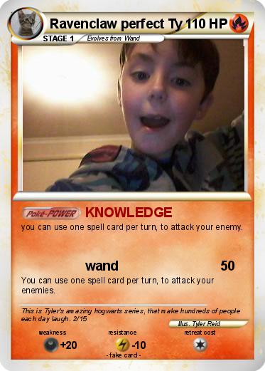 Pokemon Ravenclaw perfect Ty