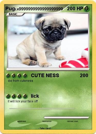 Pokemon Pug