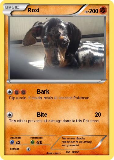 Pokemon Roxi
