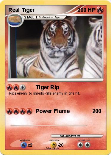 Pokemon Real Tiger