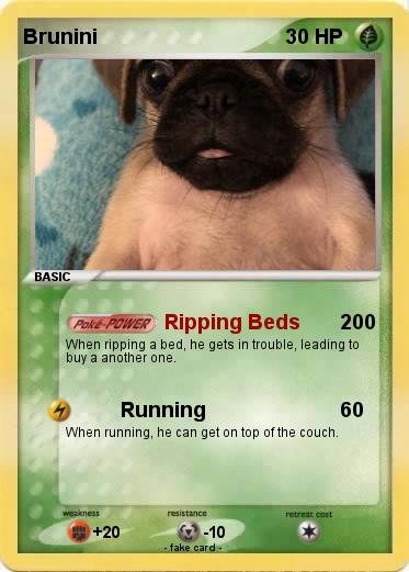 Pokemon Brunini