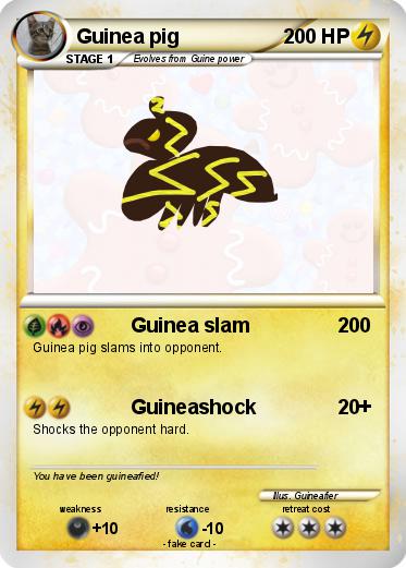 Pokemon Guinea pig