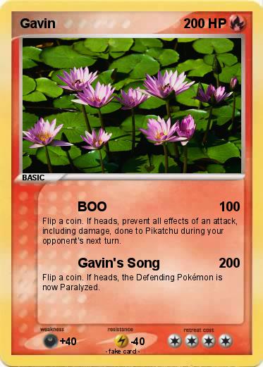 Pokemon Gavin