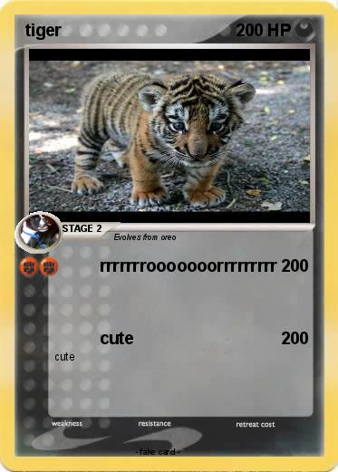 Pokemon tiger