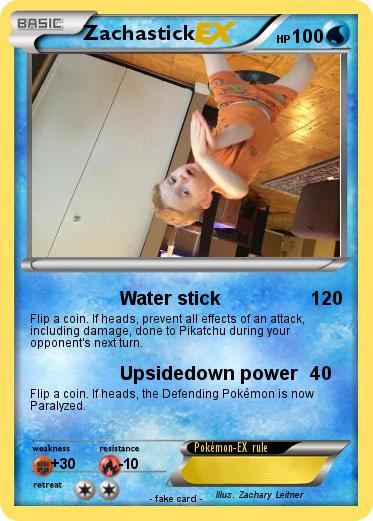 Pokemon Zachastick