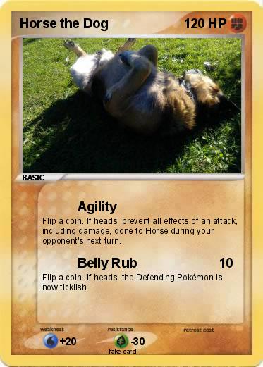 Pokemon Horse the Dog