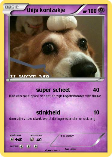 Pokemon thijs kontzakje