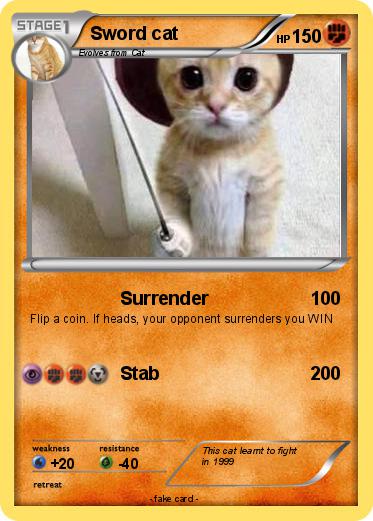 Pokemon Sword cat