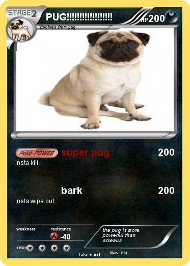 Pokemon PUG!!!!!!!!!!!!!!!!!!
