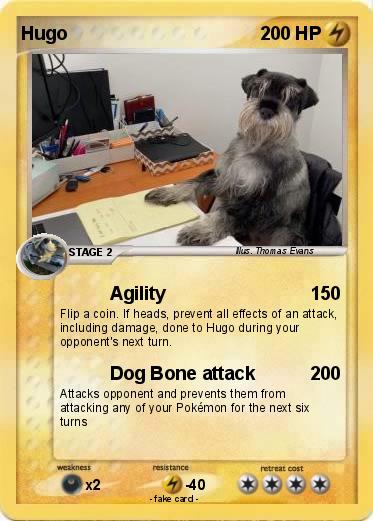Pokemon Hugo