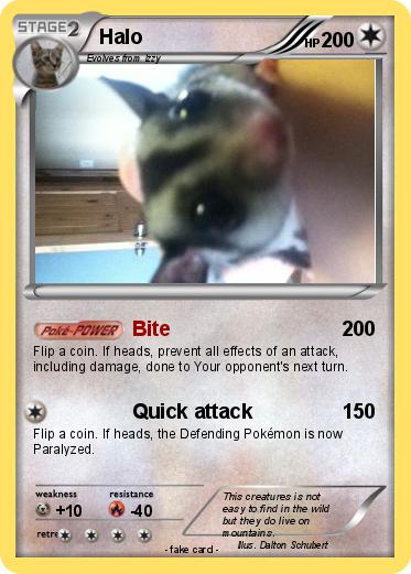 Pokemon Halo