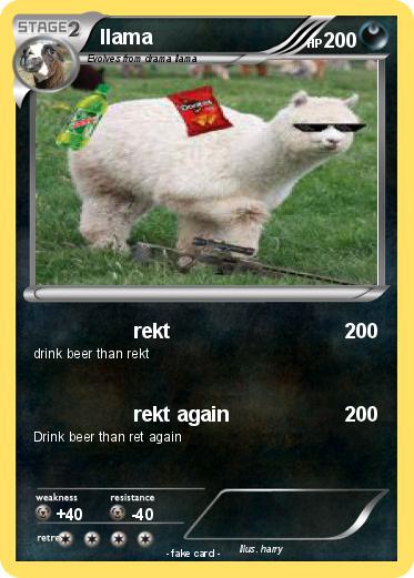Pokemon llama