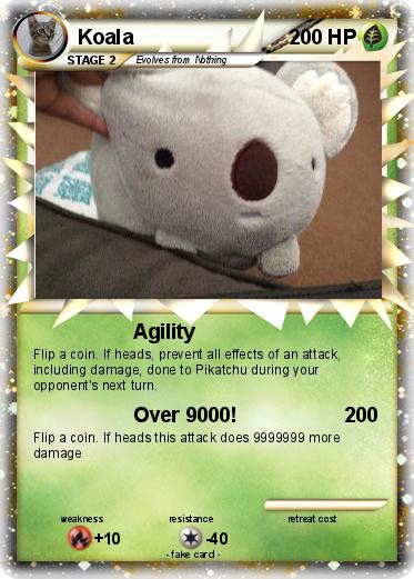 Pokemon Koala